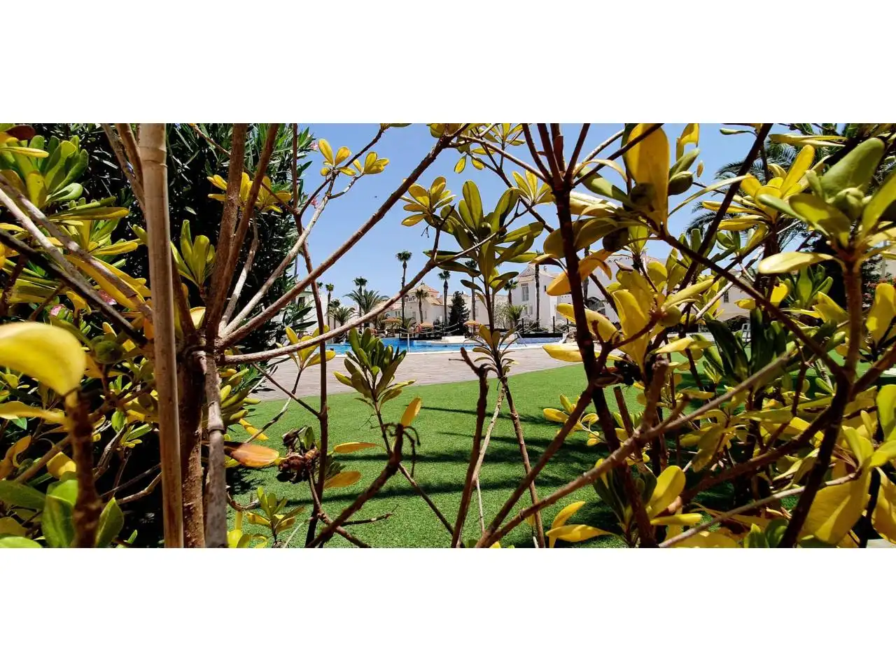 Apartment mit Pool zur Miete in Avenida Diagonal 2, imagen 4