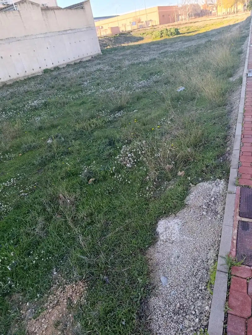Terreni e lotti in vendita a Bullas, imagen 12