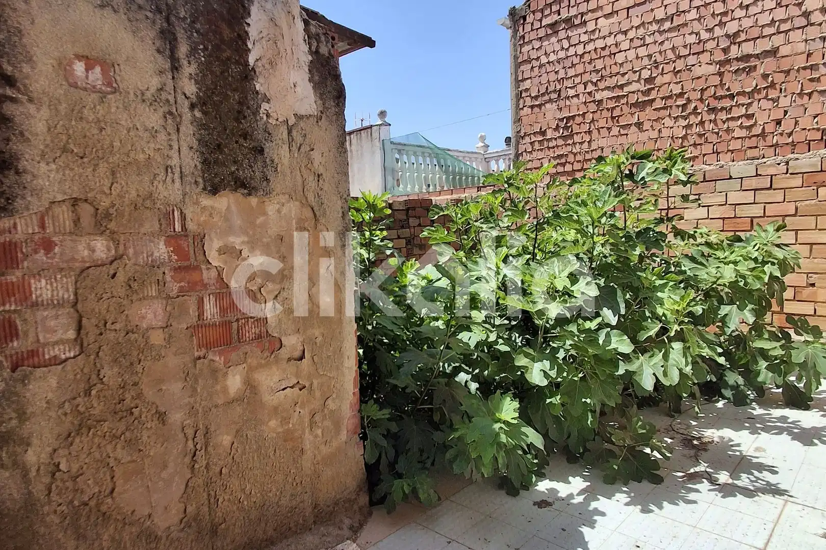 Casa o xalet en venda en Linares amb Terrassa