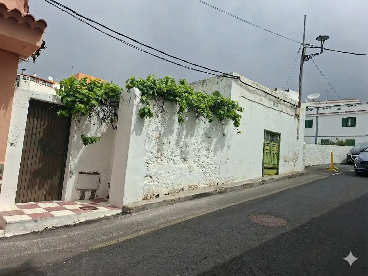 Vista exterior de Finca rústica en venda en Santiago del Teide amb Jardí privat