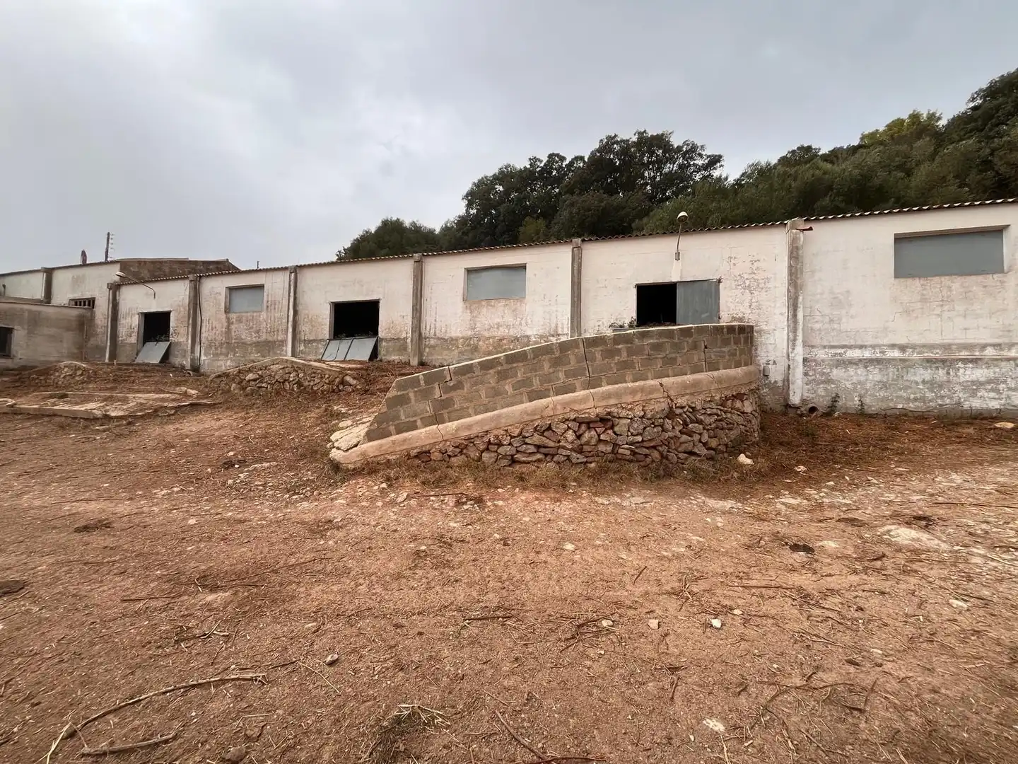 Vista exterior de Finca rústica en venda en Es Mercadal amb Jardí privat