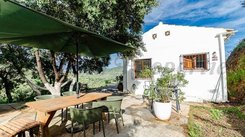 Foto 5 de Finca rústica en venta en Residencial Jardín Botánico, Málaga Capital