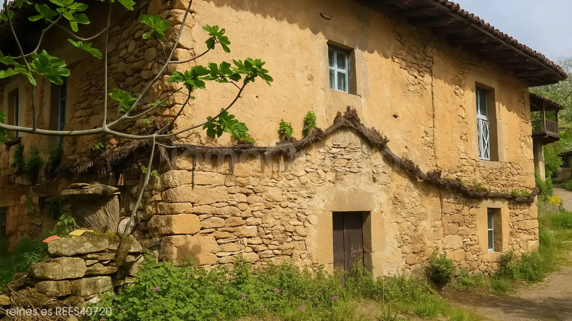 Vista exterior de Casa o chalet en venta en Grado con Jardín privado