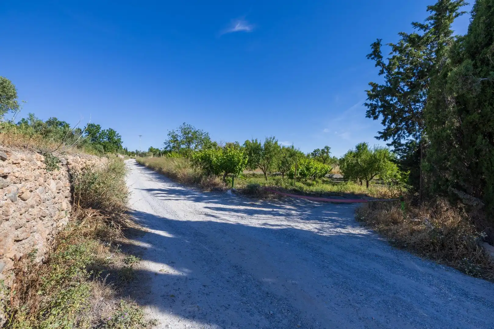 Rural land for sale in Dúrcal, imagen 2