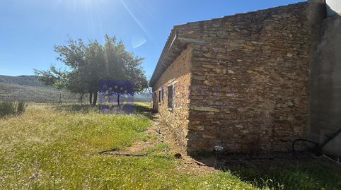 SE VENDE FINCA CINEGETICA Y GANADERA ZONA JARAICEJO