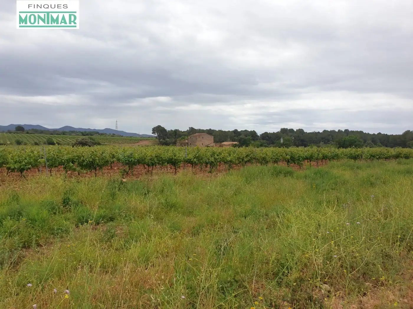 Finca rústica en venda en El Pla de Santa Maria