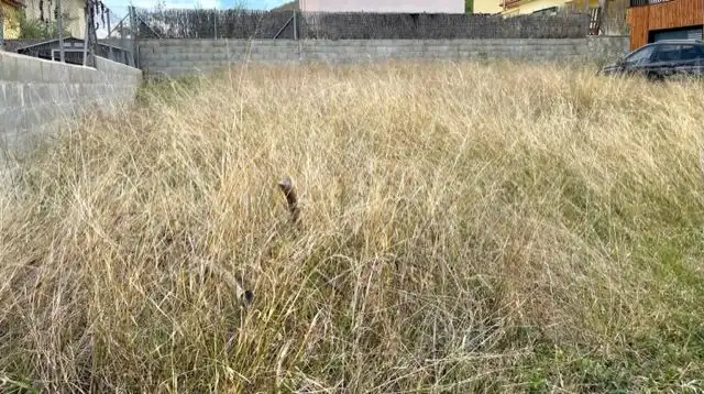 Terreny residencial en venda a Pacs del Penedès, imagen 5