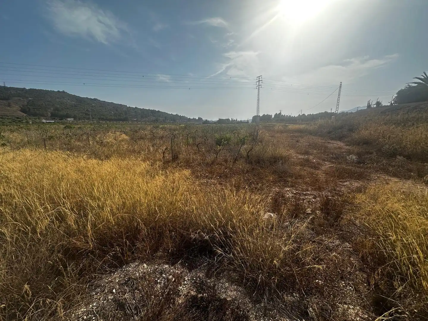 Terreno residencial en venta en El Pinós / Pinoso, imagen 11