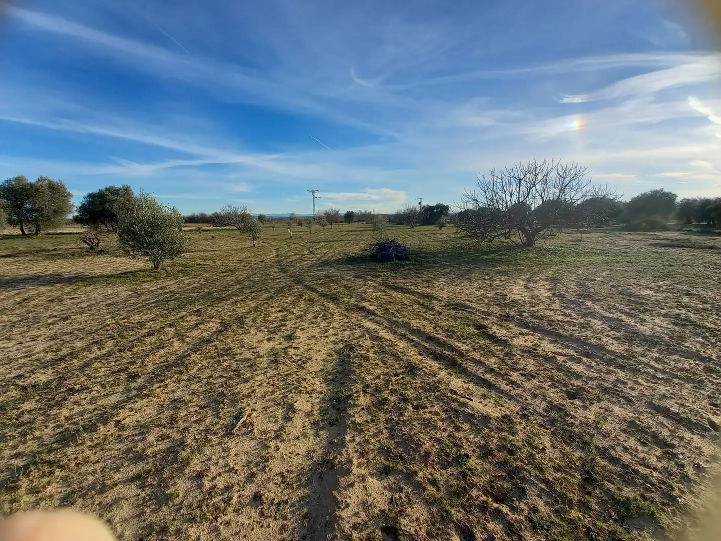 Rural land for sale in Cebolla, imagen 5