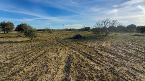 Photo 5 of Land for sale in Cebolla, Toledo