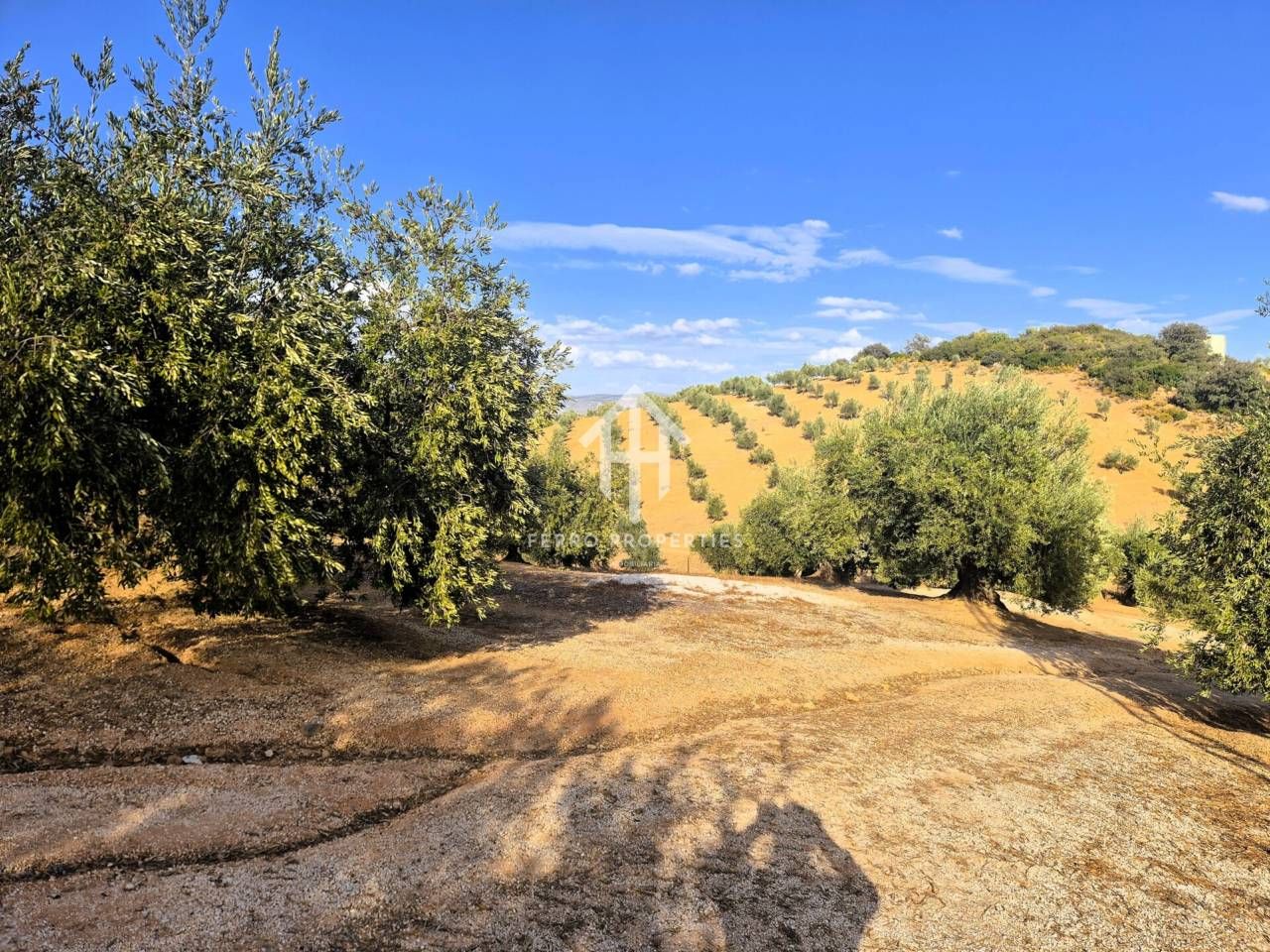 Land for sale in Loja