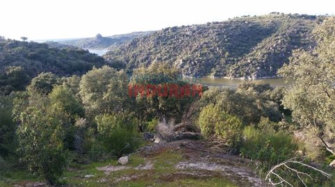 Foto 3 de Finca rústica en venda a Diseminados Navalpicaza, Valdelacasa de Tajo, Cáceres