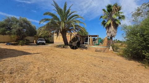 Foto 3 de Finca rústica en venda a Coria del Río, Sevilla