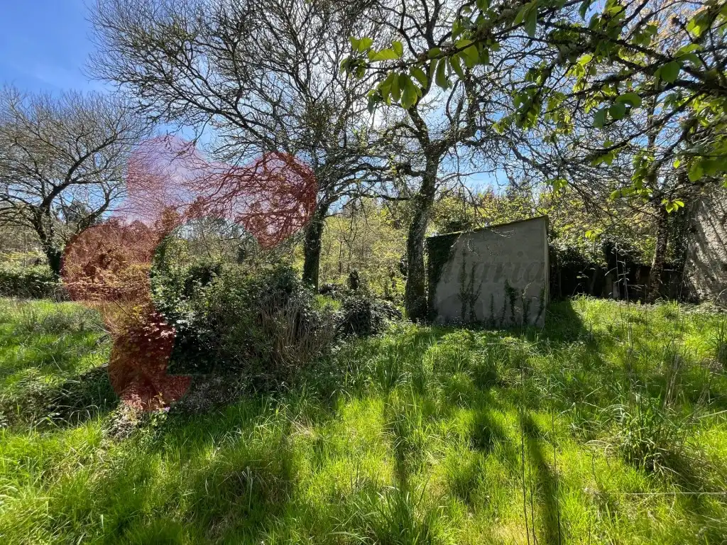 Casa o chalet en venta en Parroquias del Este