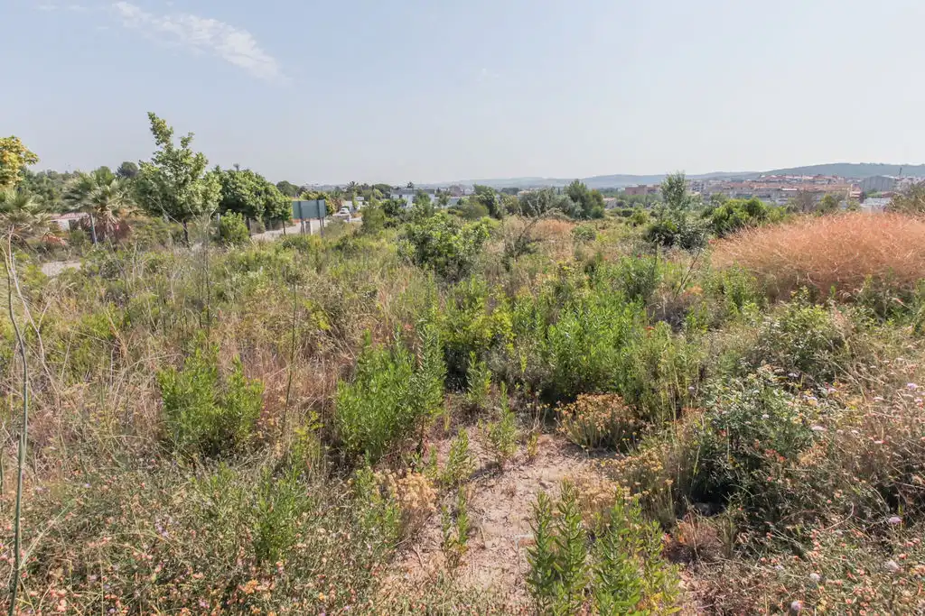 Rural land for sale in C/ Manuel de Pedrolo, imagen 12