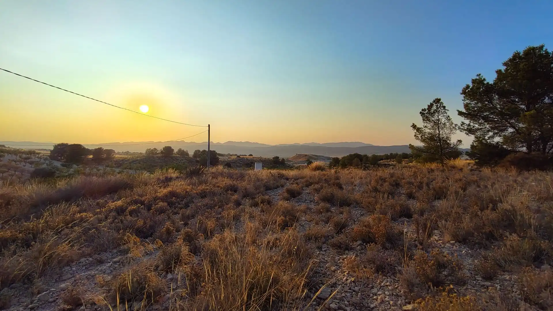 Terreno rustico in vendita a Jumilla, imagen 2