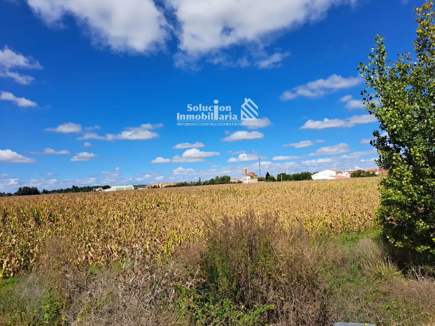 Land for sale in Encinas de Abajo