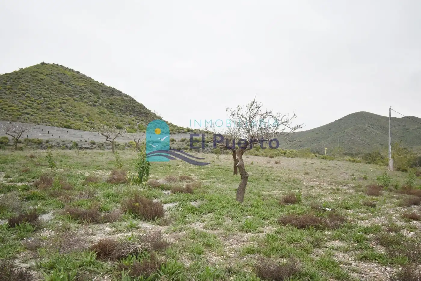 Terreno rústico en venta en Pedanías Oeste, imagen 19