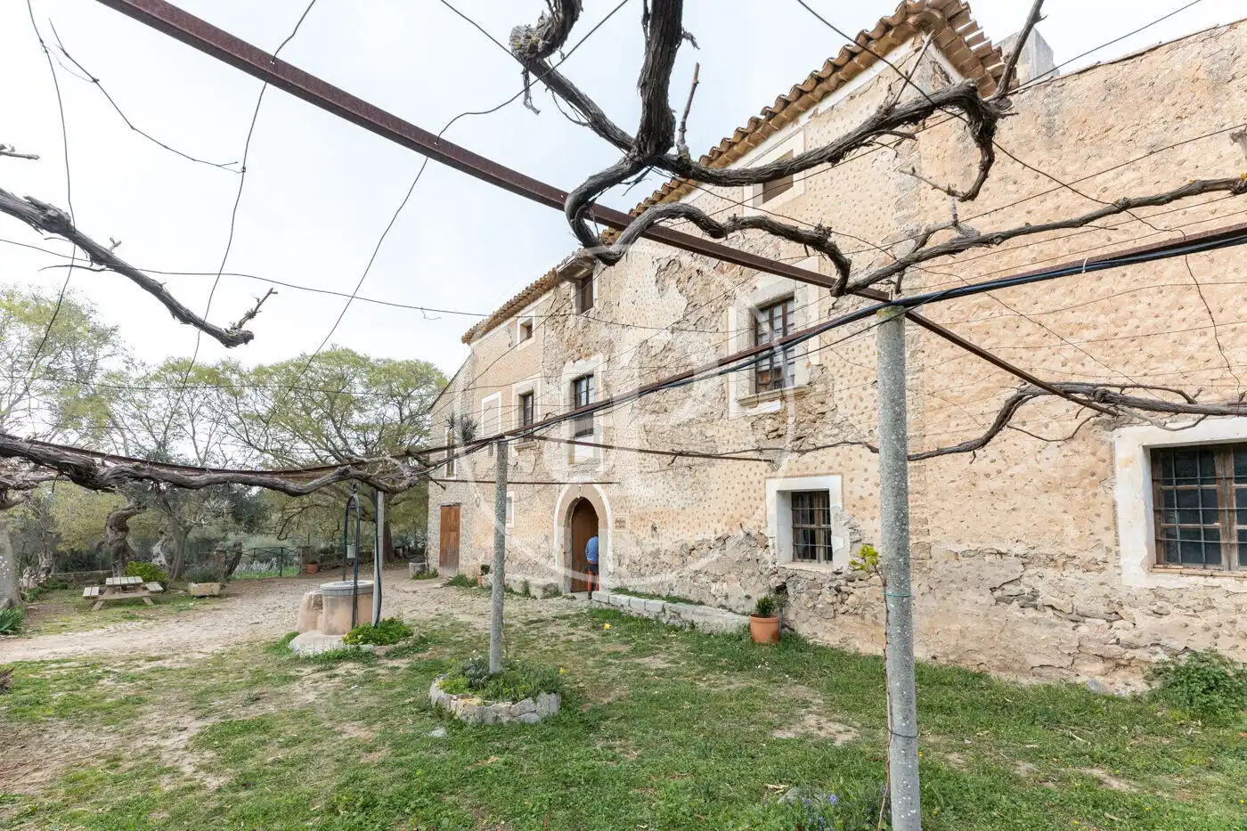 Vista exterior de Casa o chalet en venta en Banyalbufar con Jardín privado y Terraza