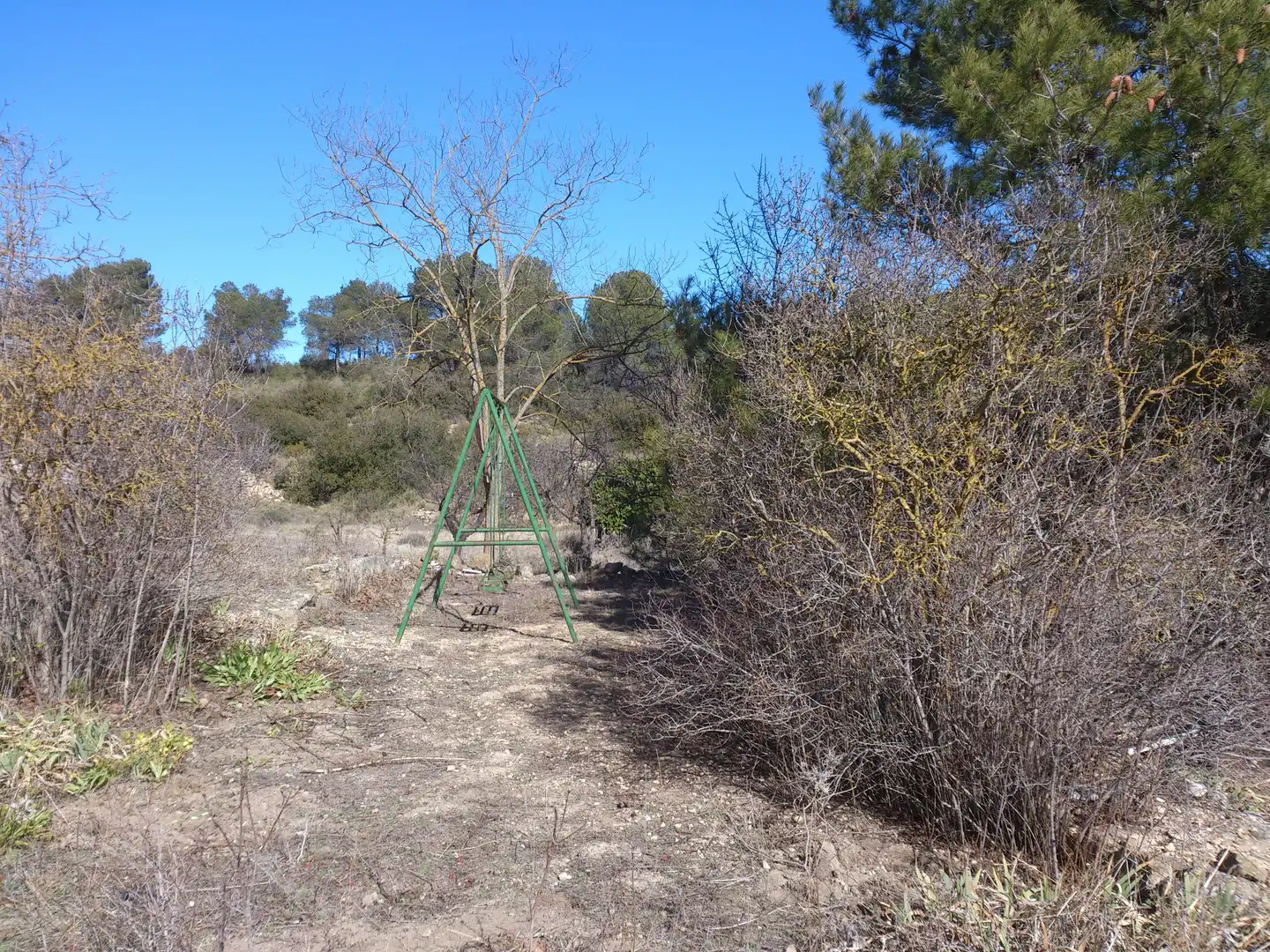 Country homes for sale in La Font de la Figuera