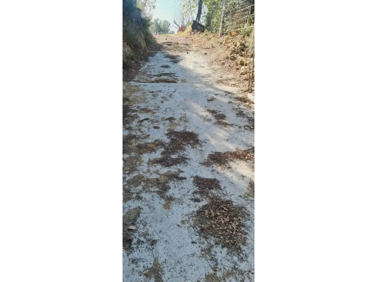 Terreno rustico in vendita a Sant Fost de Campsentelles, imagen 24