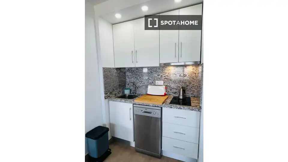 Cuina de Apartament per a compartir en Alicante / Alacant amb Aire condicionat, Terrassa i Moblat