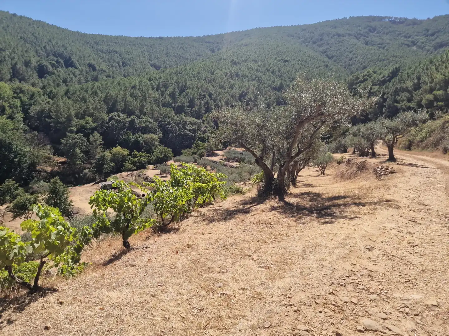 Terreno en venta en Guisando, Ávila