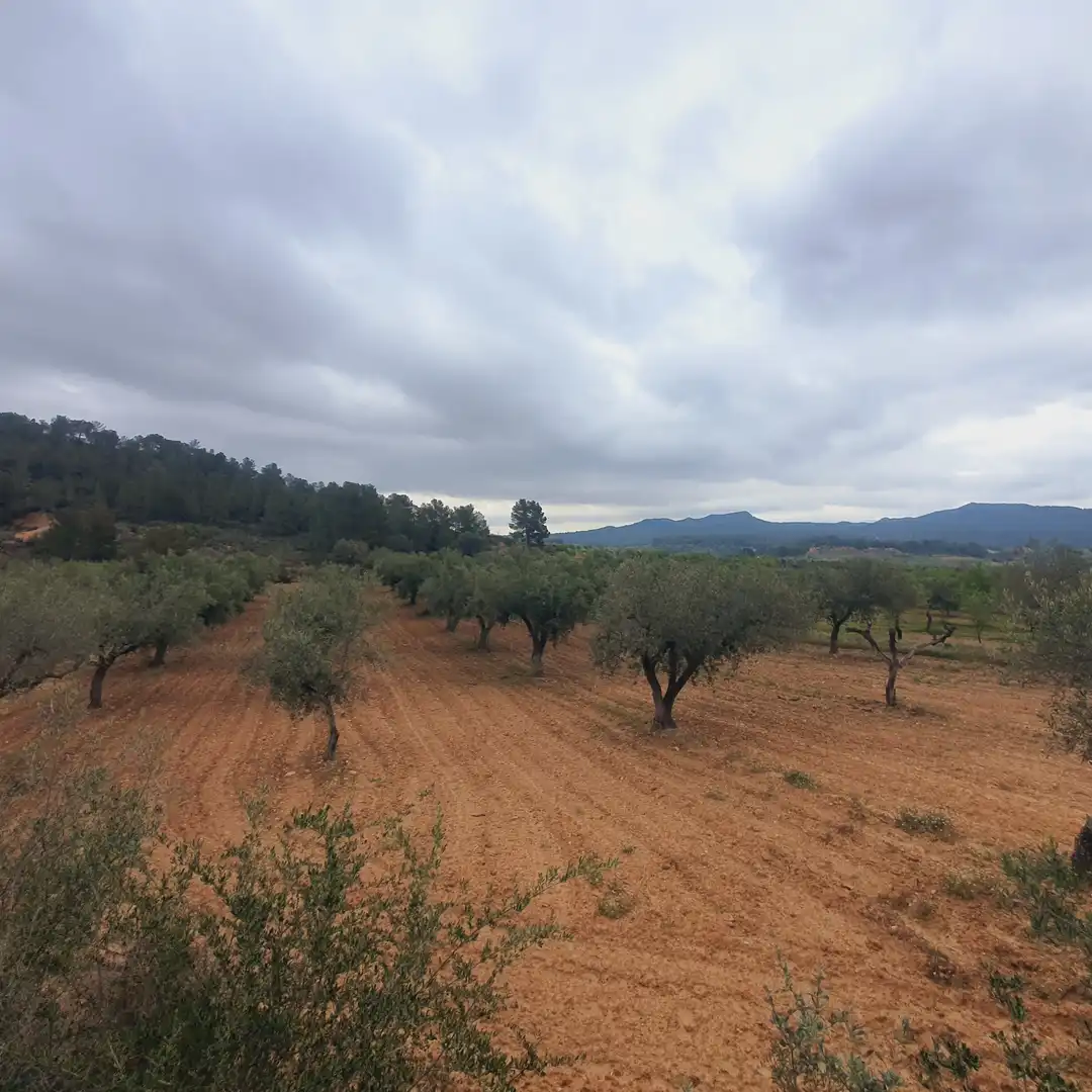 Rustikales Grundstück zum Verkauf in El Pinell de Brai, imagen 9