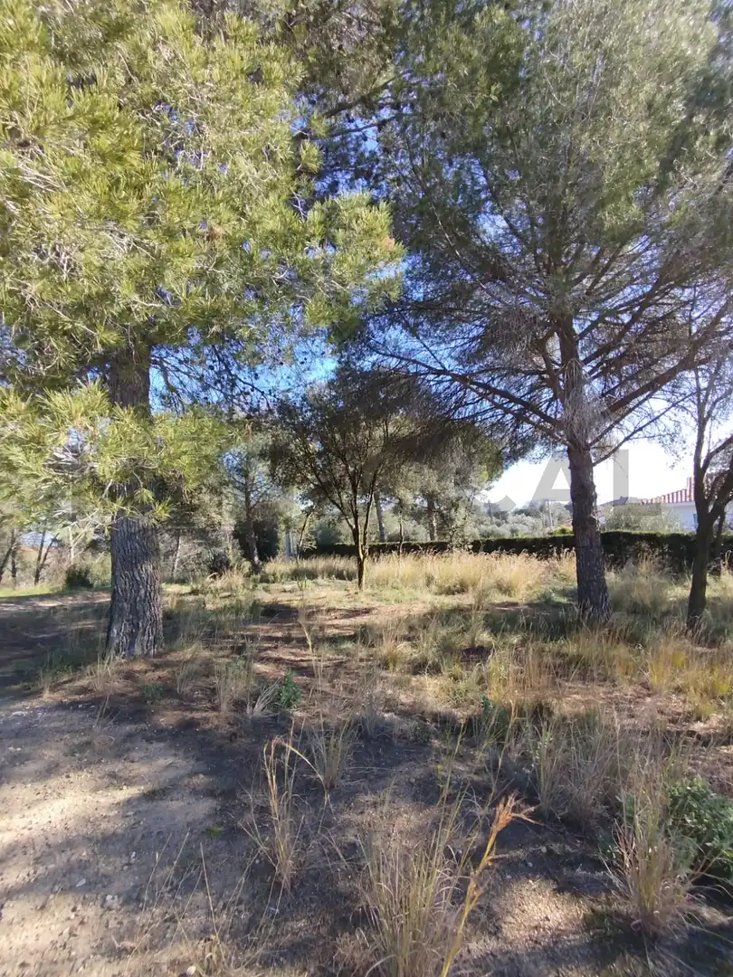 Terrenys i solars en venda a VILA DE VALL, imagen 19