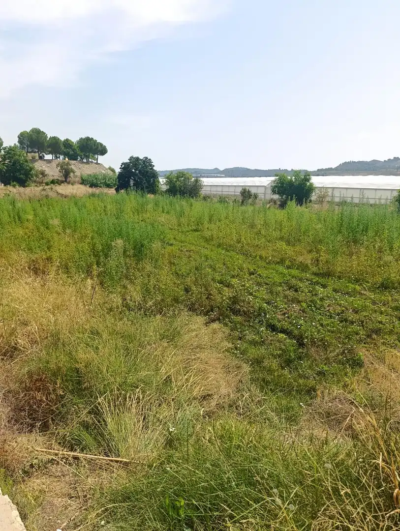 Rural land for sale in Cehegín, imagen 3