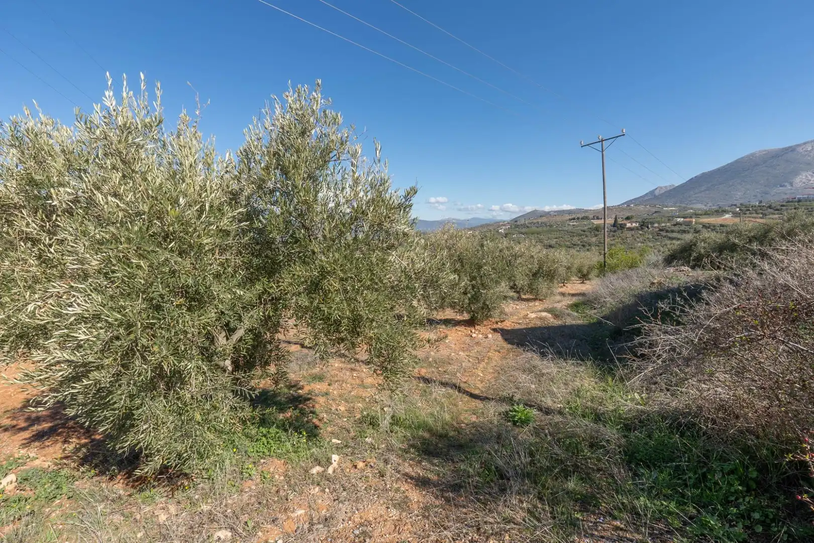 Terreni e lotti in vendita a Cogollos de la Vega, imagen 12