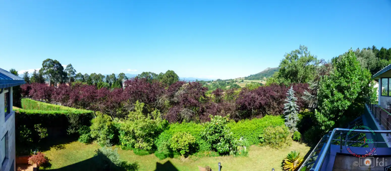 Jardí de Casa o xalet en venda en Oviedo  amb Calefacció, Jardí privat i Parquet
