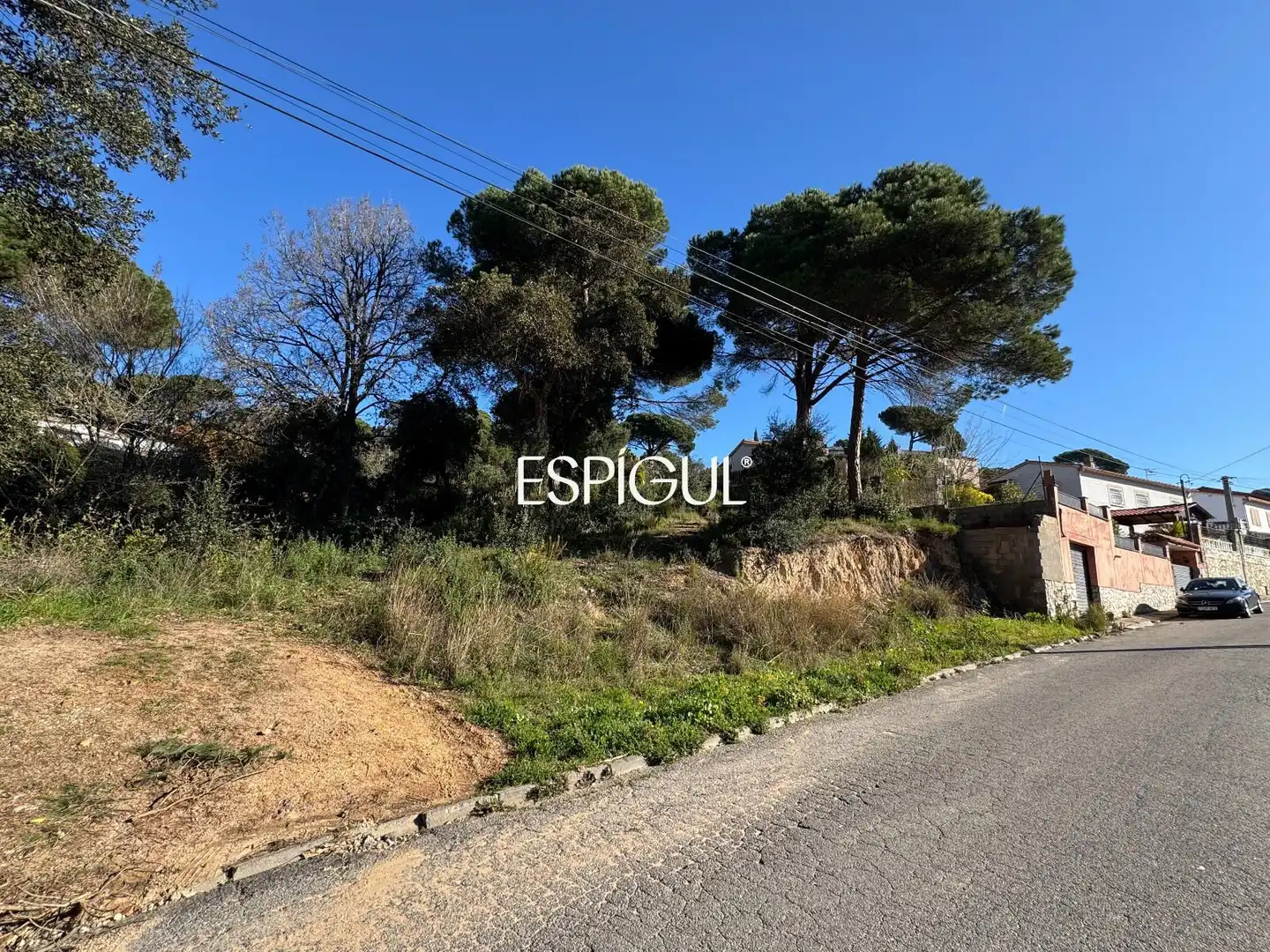 Terreno rústico en venta en Arboç, imagen 14