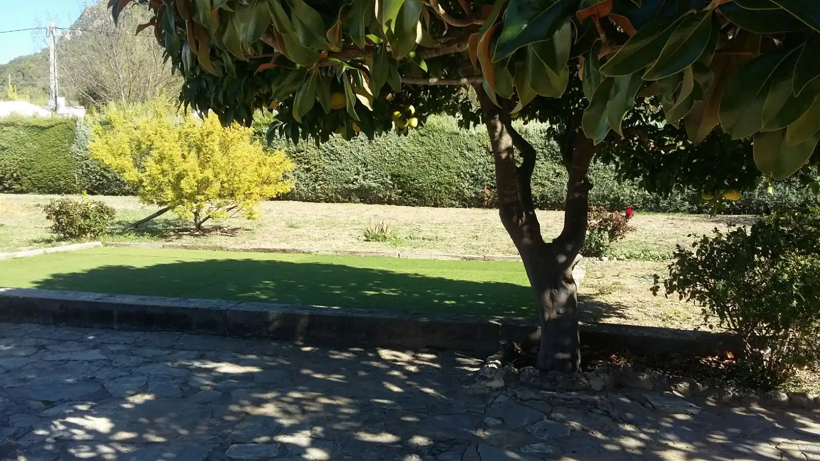 Villa con piscina in vendita a El Bosque, imagen 6