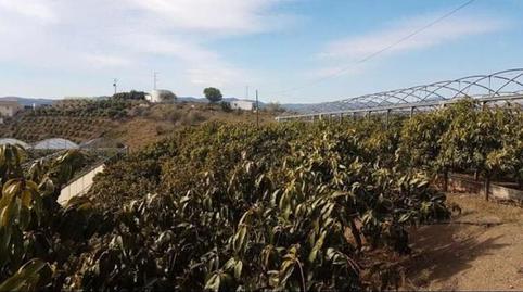 Foto 2 de Casa o xalet en venda a Capuchinos - Los Olivos, Málaga