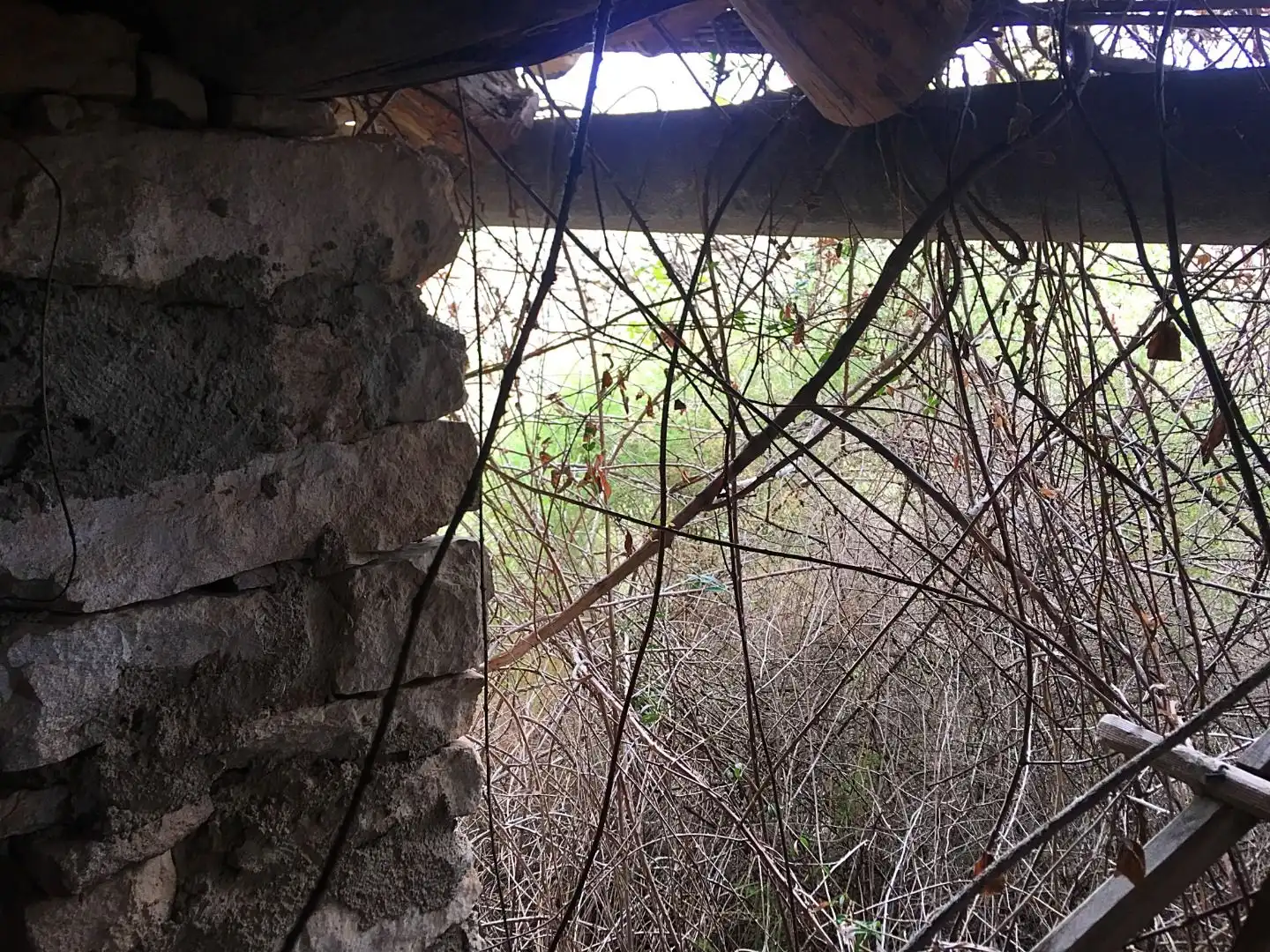 Vista exterior de Finca rústica en venda en Benifallet