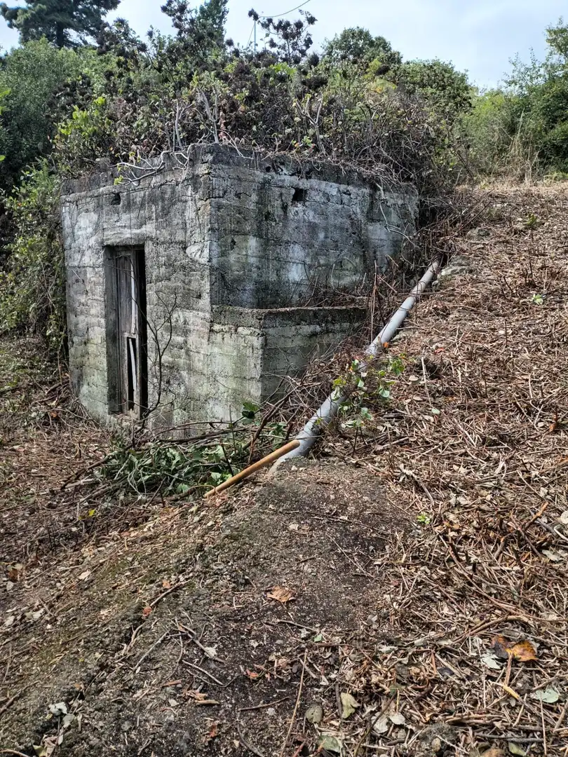 Rural land for sale in La Vega - El Amparo - Cueva del Viento, imagen 4