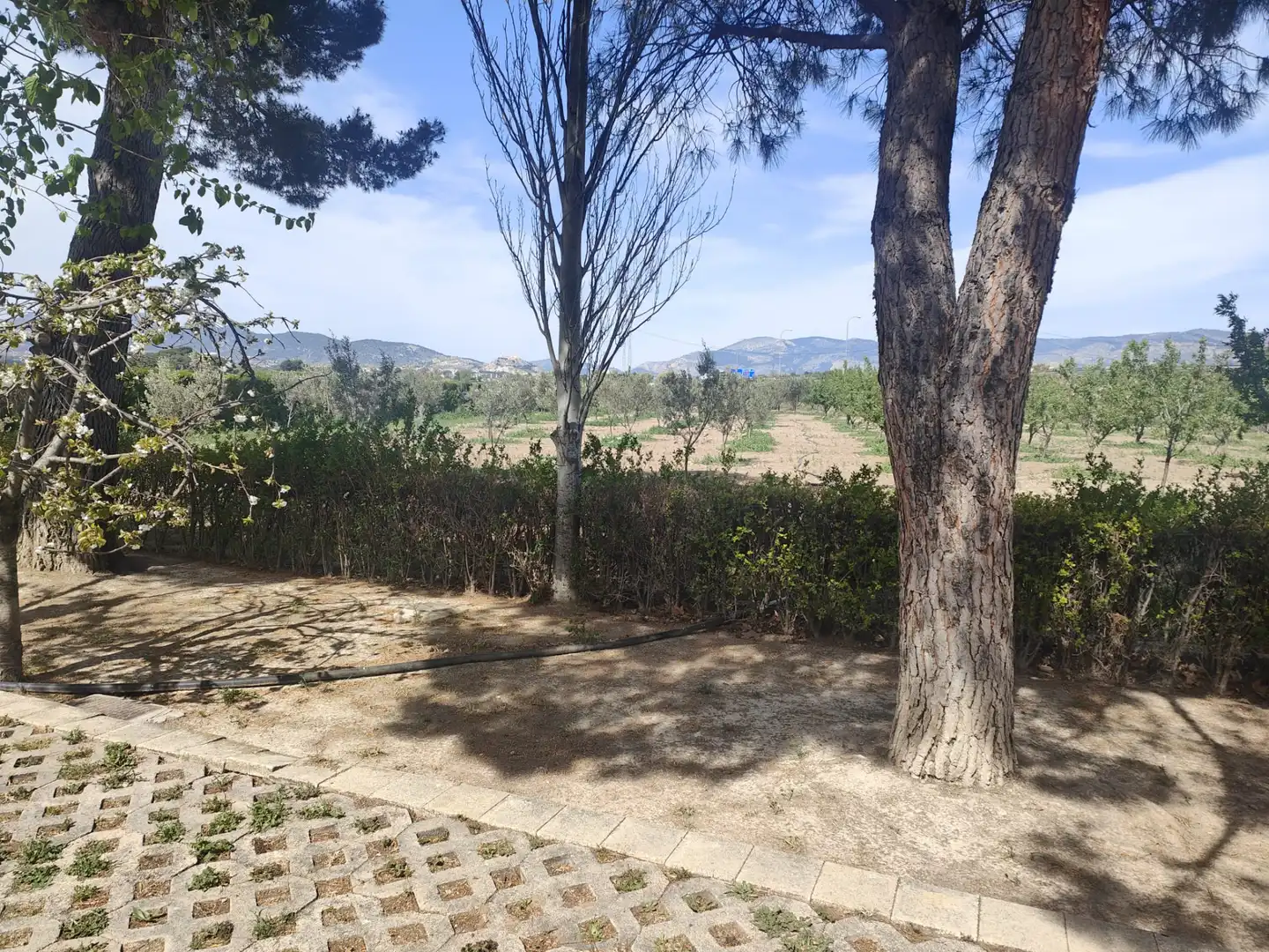 Jardín de Casa o chalet en venta en Castalla con Aire acondicionado, Amueblado y Horno