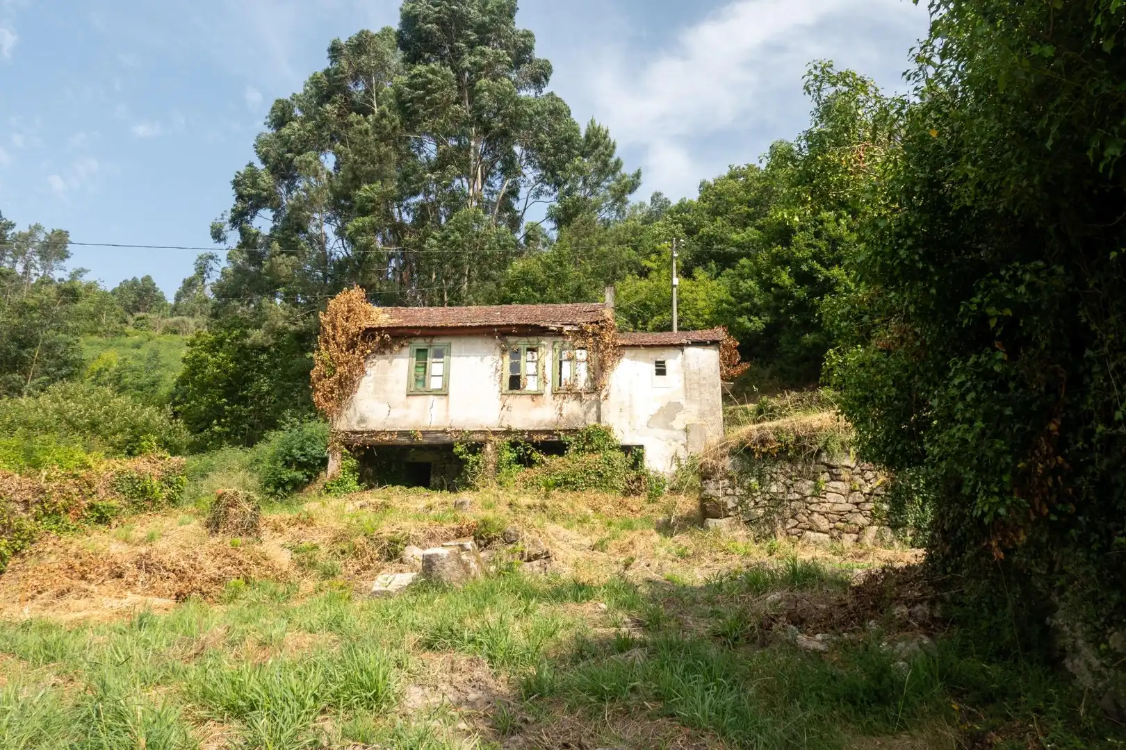 Vista exterior de Finca rústica en venda en Arbo amb Jardí privat