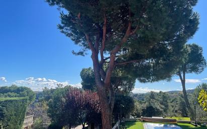 Jardí de Casa o xalet en venda en Cadalso de los Vidrios amb Calefacció, Jardí privat i Terrassa