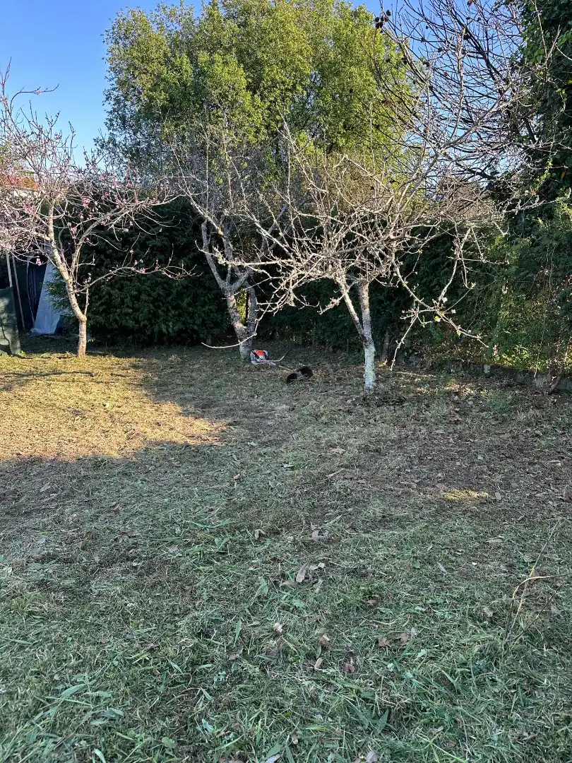 Land for sale in Estrada de Aldán, 50, Darbo