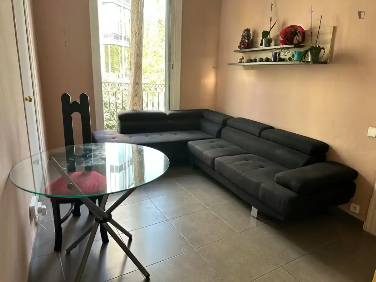 Sala de estar de Apartamento para compartir en Barcelona con Amueblado, Lavadora y Internet