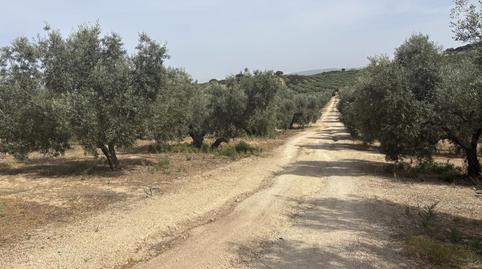Photo 2 of Industrial buildings for sale in Diseminado Poligono 169, 29, Bobadilla - Bobadilla Estación - La Joya, Antequera