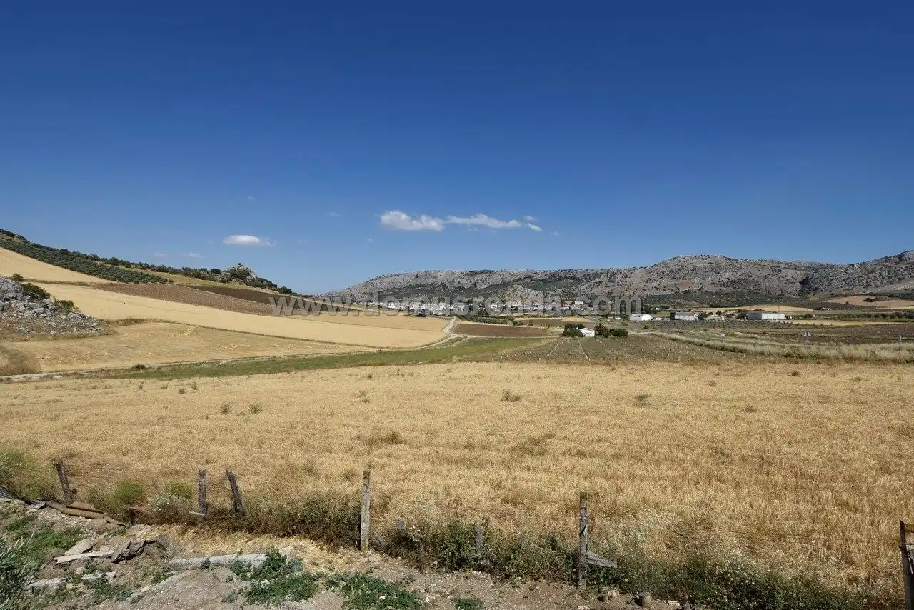 Terreny residencial en venda a Cuevas del Becerro, imagen 10