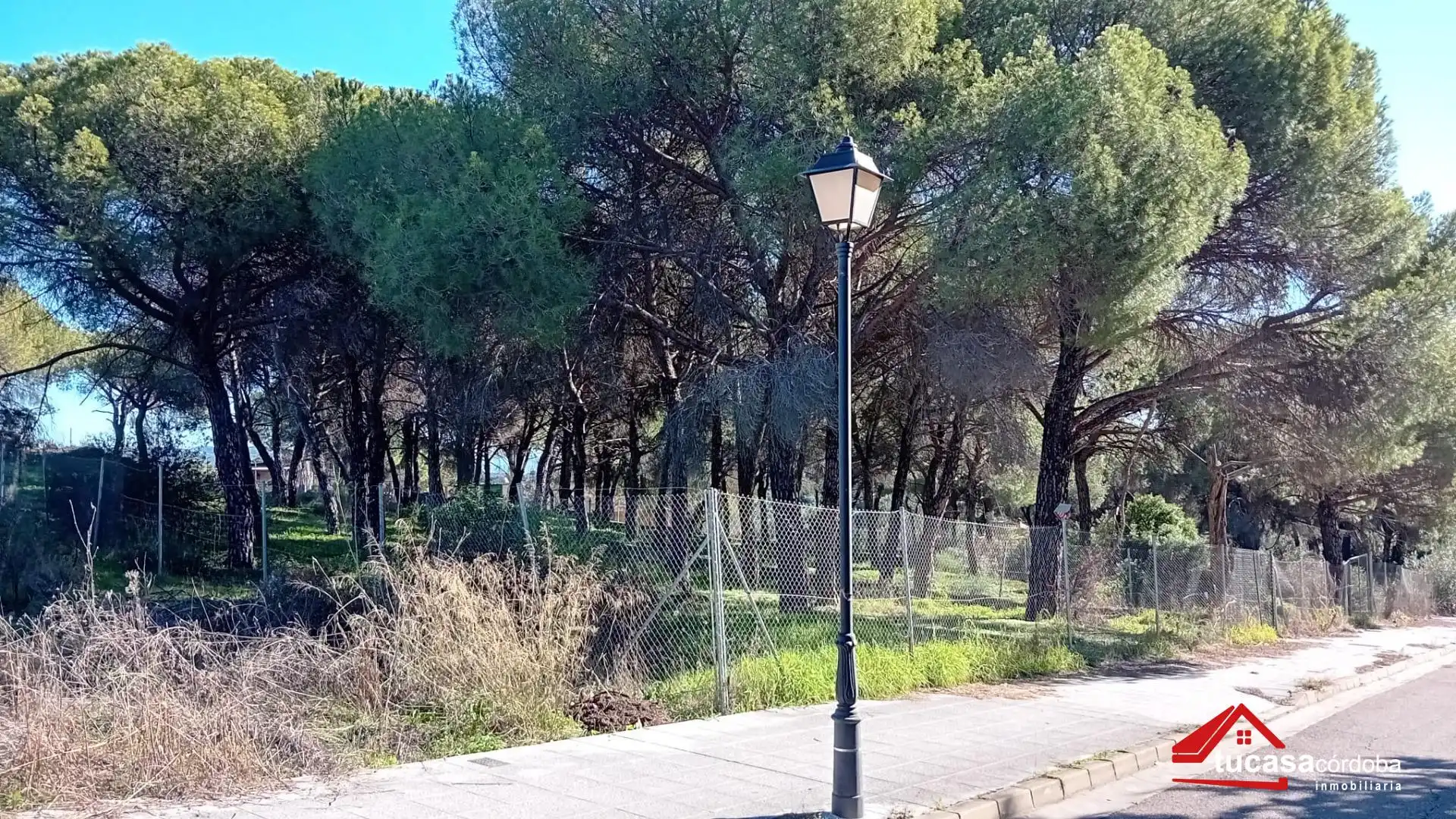 Wohnbaugrundstück zum Verkauf in Periurbano Este - Campiña, imagen 8