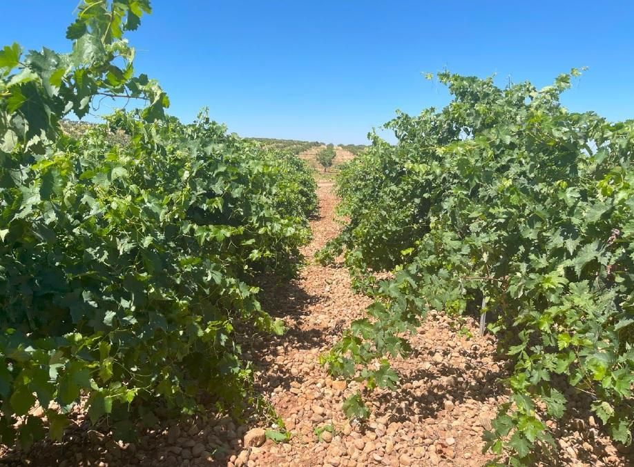 Vista exterior de Residencial en venda en Ciudad Real Capital