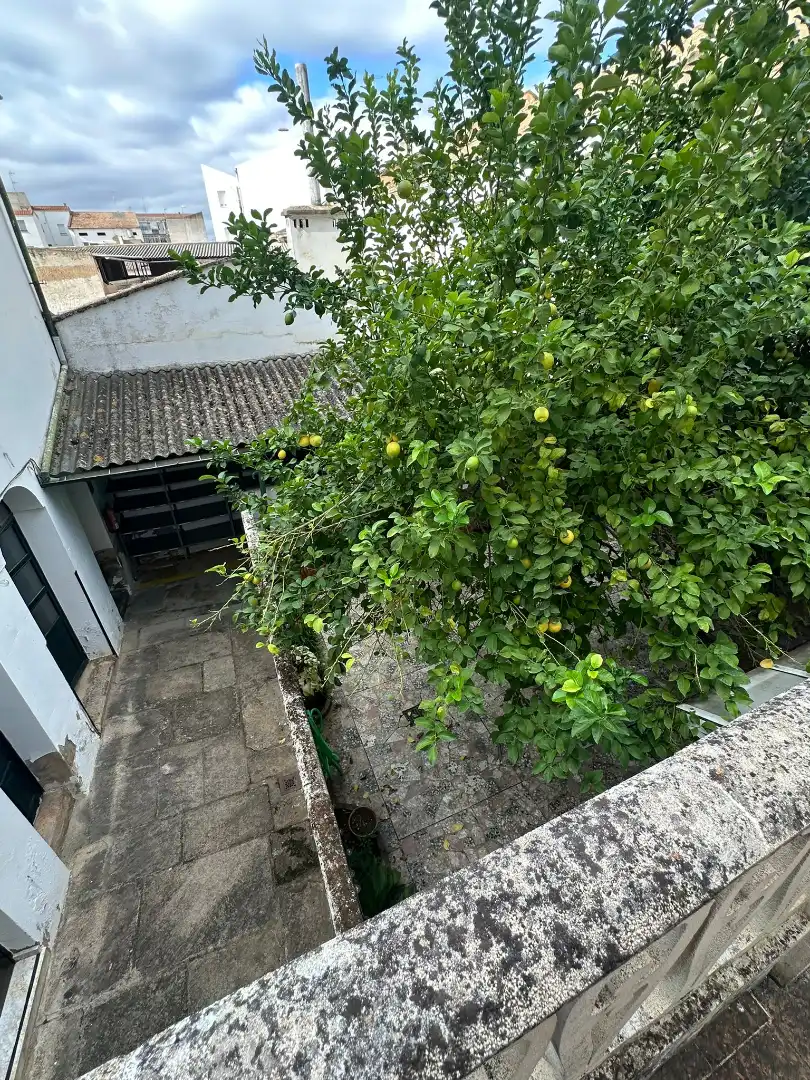Casa en venta en Don Benito, imagen 25