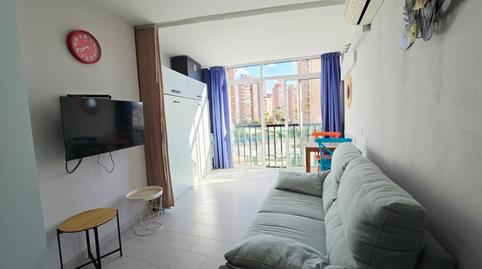 Foto 5 de Estudi en venda a Juzgados - Plaza de Toros, Benidorm