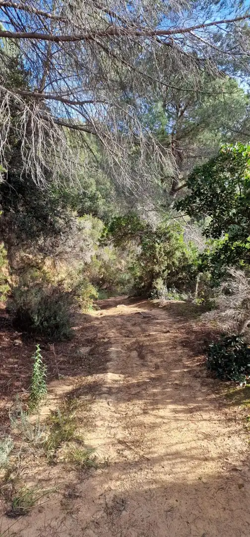 Terreny en venda en Sant Cebrià de Vallalta