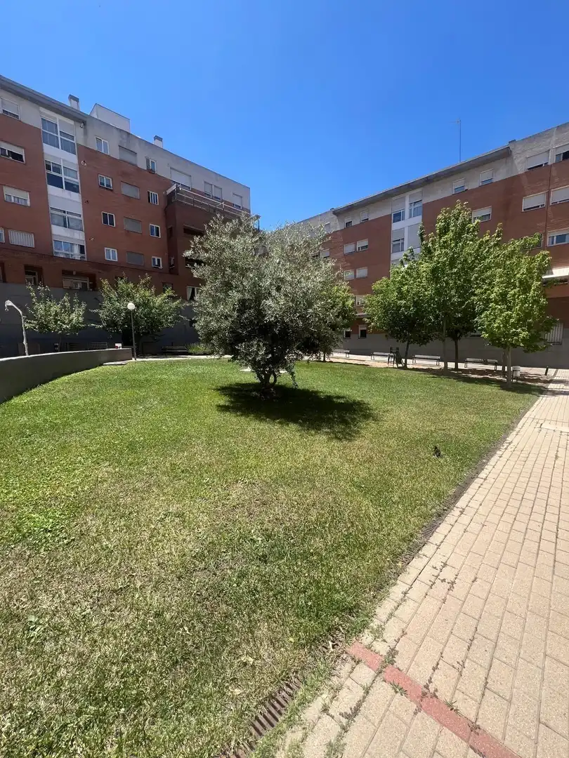 Jardín de Piso de alquiler en Madrid con Aire acondicionado, Calefacción y Jardín privado